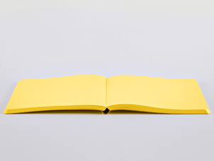 Nuuna Not White L Light notebook, Yellow