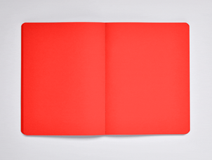 Notebook Nuuna, Not White L Light Rot