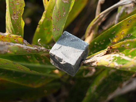 Handmade Peat Smoked Soap, Celement Square