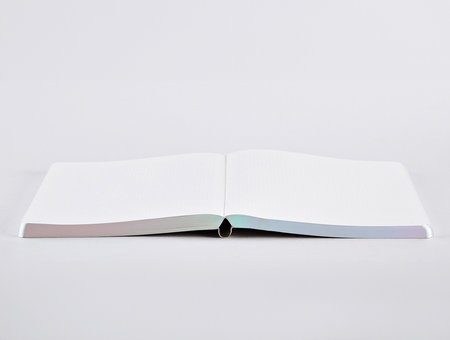 Notebook Voyager L, Grey