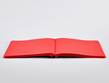 Nuuna Not White L Light notebook, Red