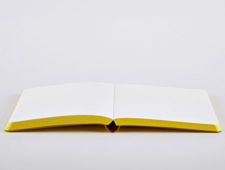 Carnet de notes Nuuna, Oui Oui S