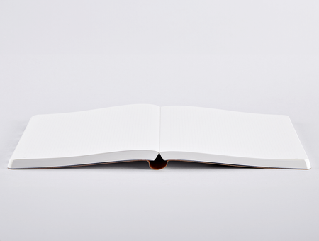 Notebook Nuuna, Write Wrong L